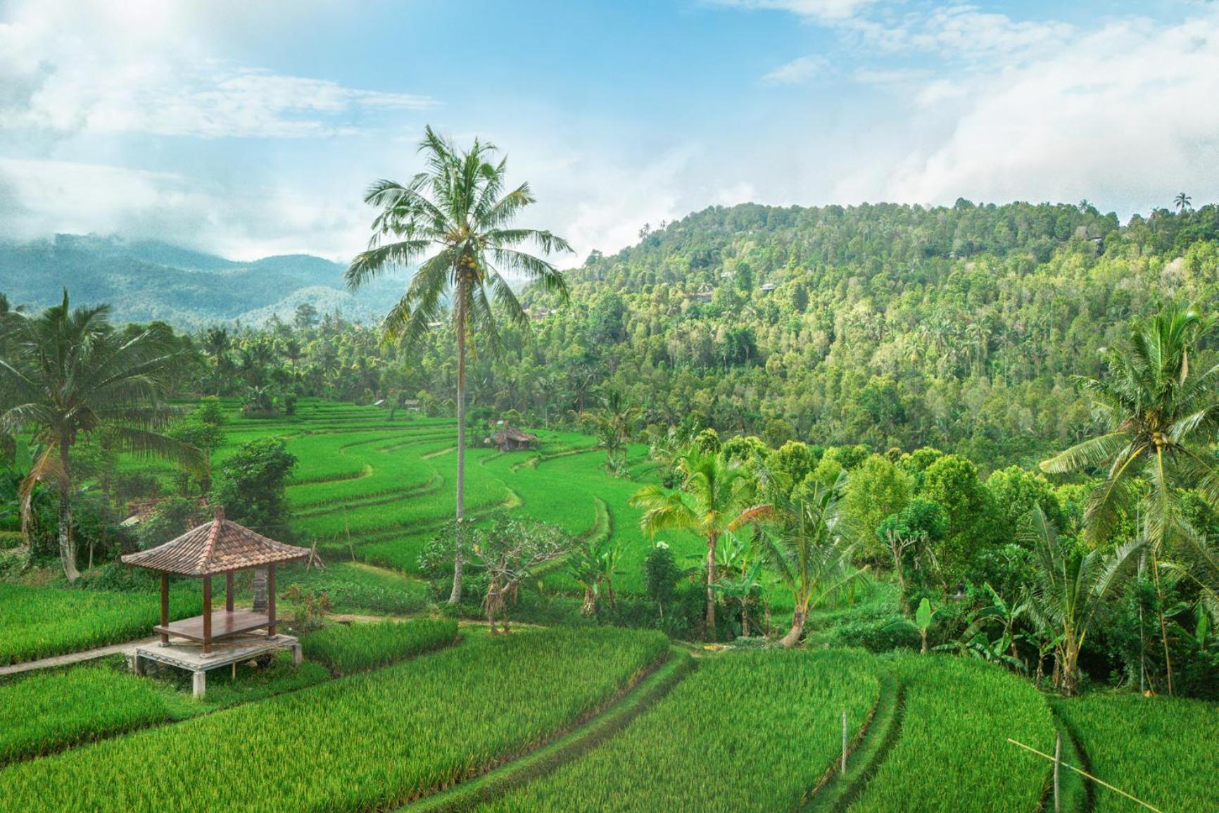 Villa Sande Munduk  Exterior photo